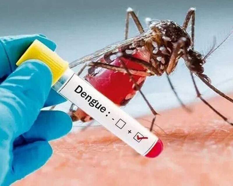 طراحی کیت ایرانی تشخیص همزمان سروتیپهای چهارگانه ویروس تب دنگی طراحی کیت ایرانی تشخیص همزمان سروتیپهای چهارگانه ویروس تب دنگی